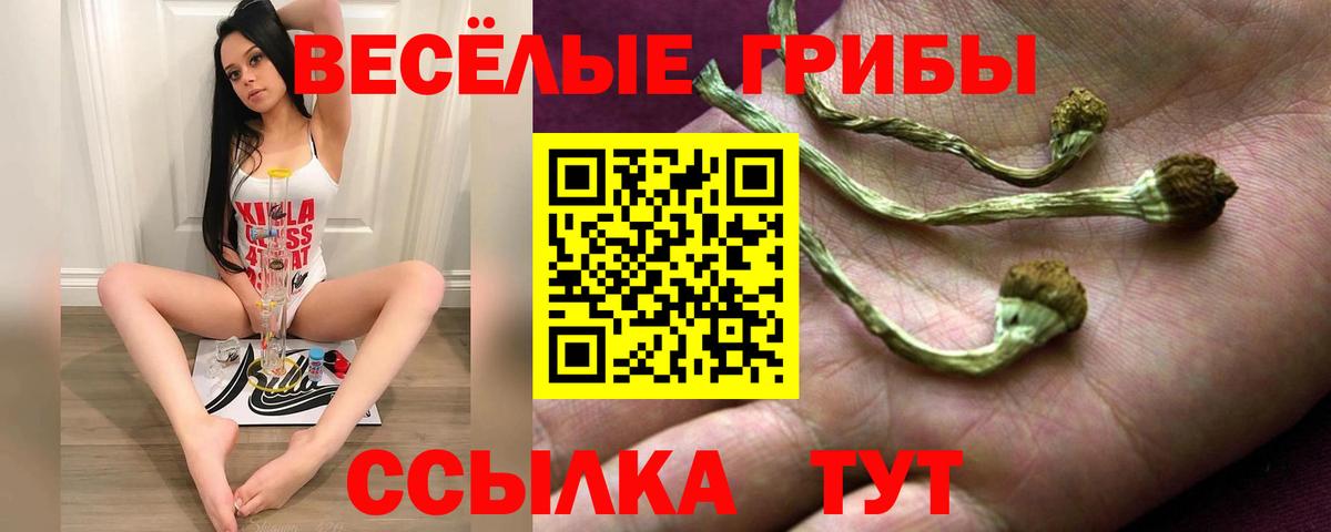 как найти закладки  Галлюциногенные грибы ЛСД  Вход с VPN  Краснокаменск 