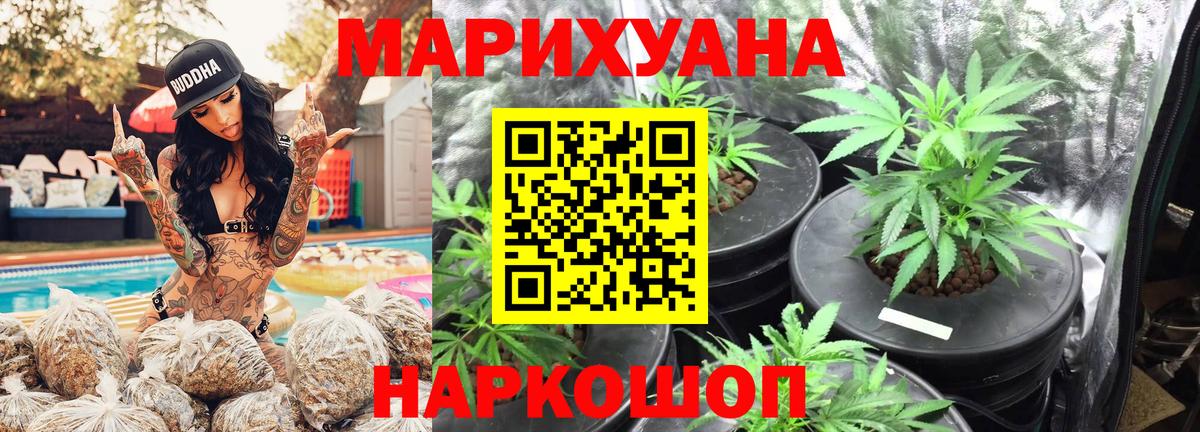 Канабис OG Kush Краснокаменск